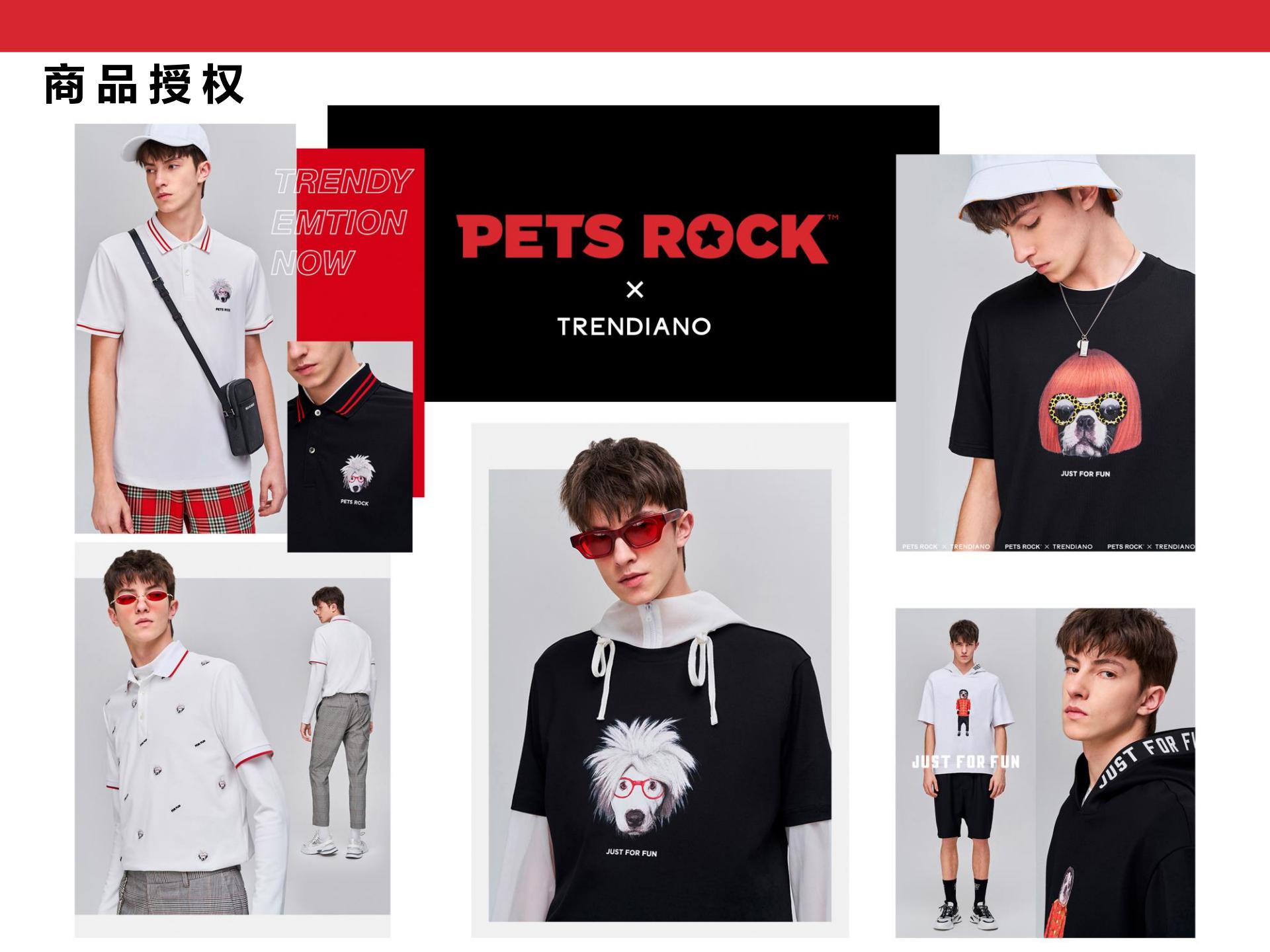 Pets Rock简介-2020(CN)_06.jpg