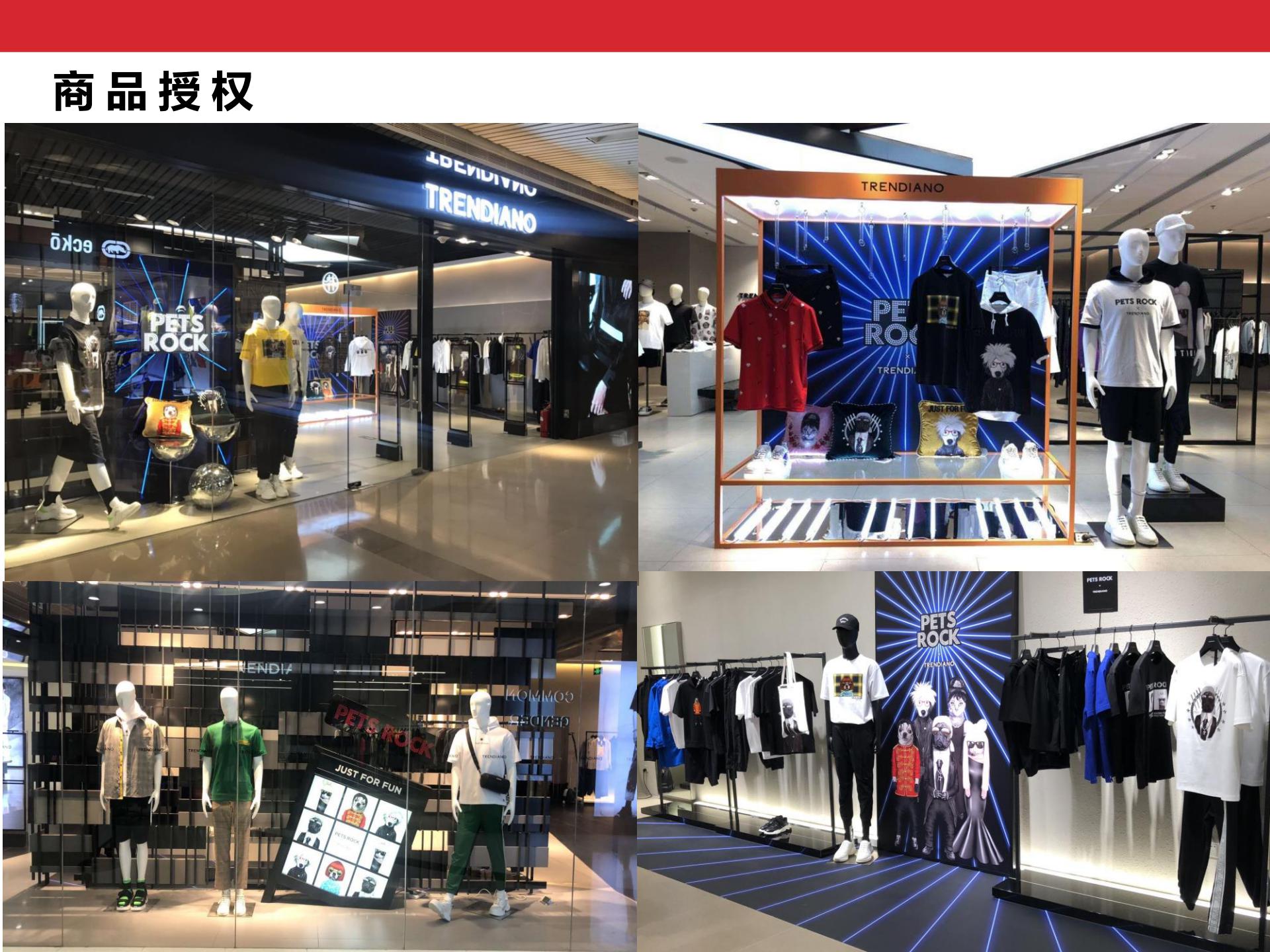 Pets Rock简介-2020(CN)_07.jpg