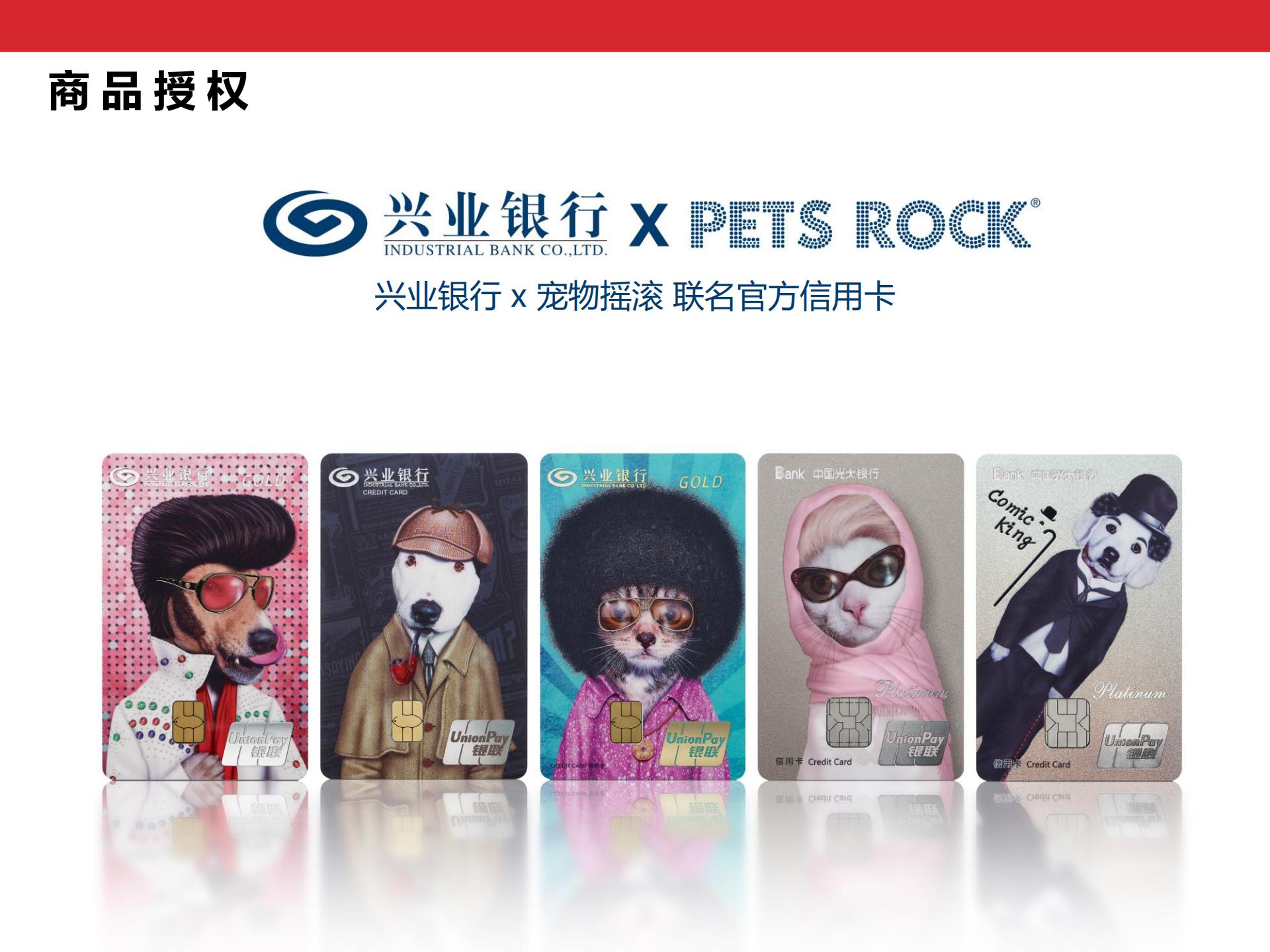 Pets Rock简介-2020(CN)_14.jpg