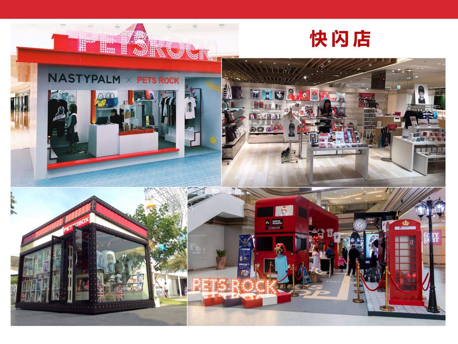 Pets Rock简介-2020(CN)_36.jpg