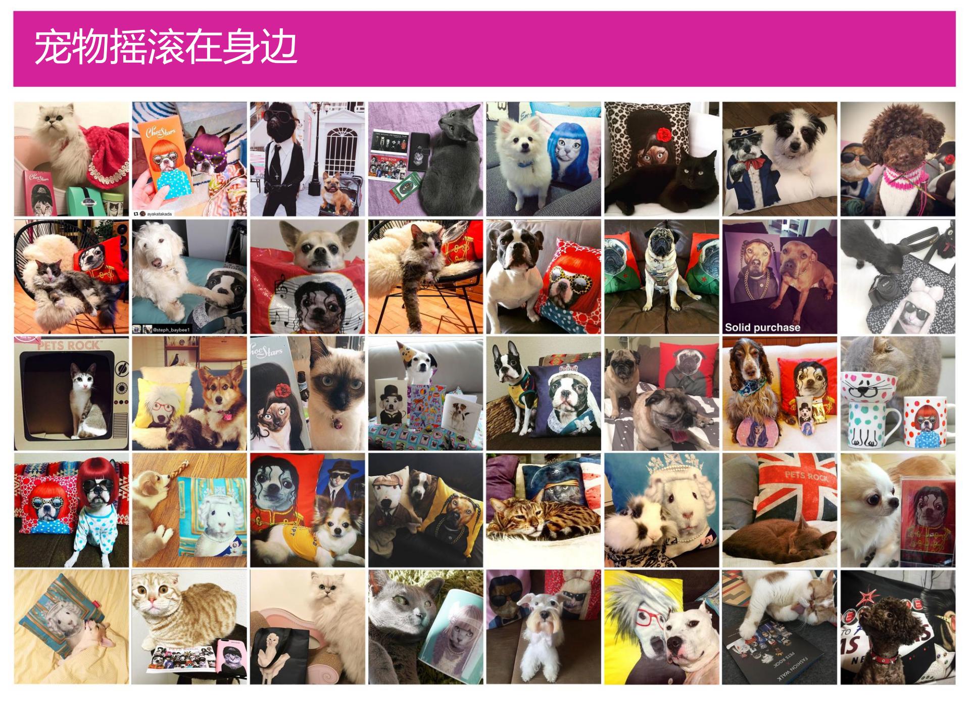 Pets Rock简介-2020(CN)_38.jpg