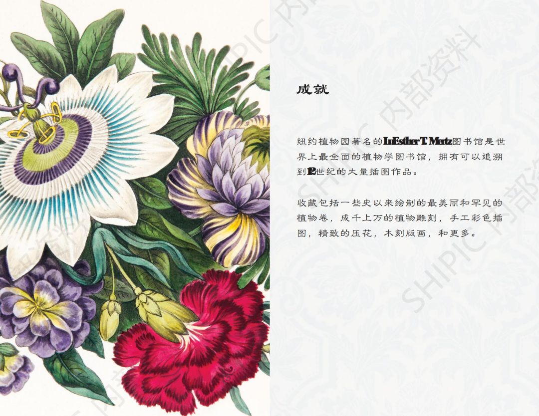 The New York Botanical Garden 纽约植物园-文创IP-联名合作-授权_01.jpg
