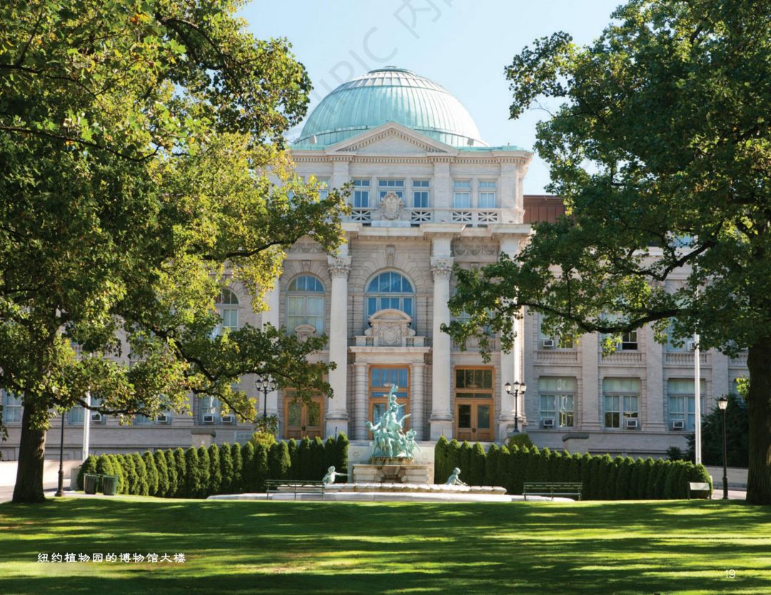 The New York Botanical Garden 纽约植物园-文创IP-联名合作-授权_07.jpg