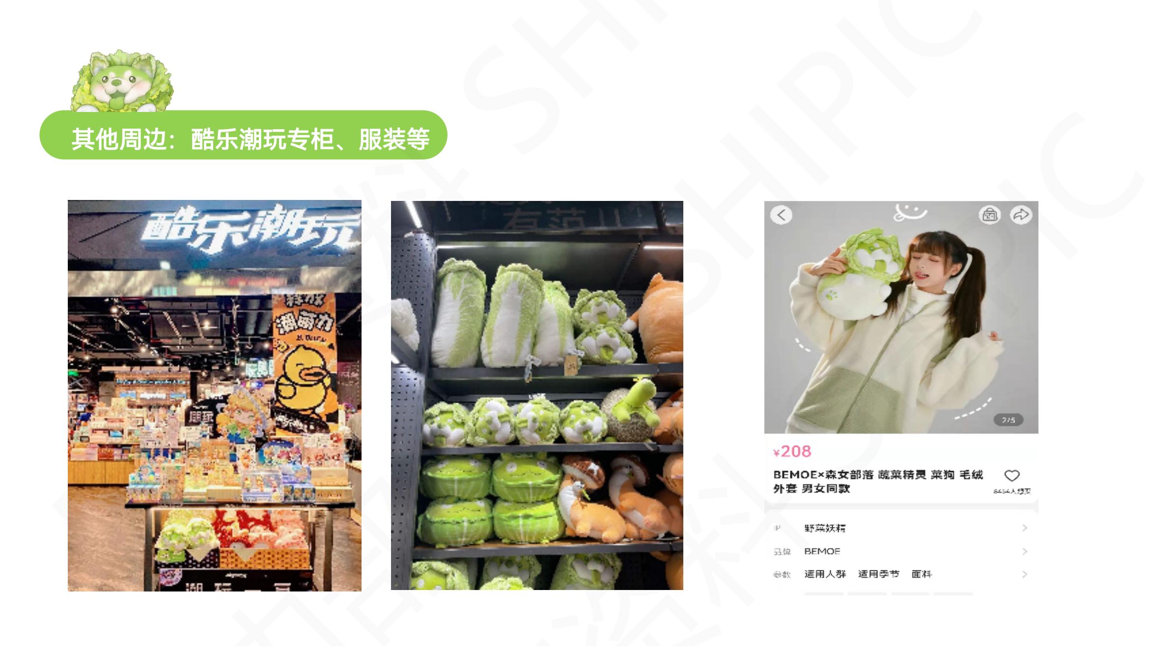 蔬菜精灵（菜狗）品牌介绍-IP授权-文创-联名合作_06.jpg